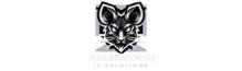 Anonimouse - Partner of Software Development Philippines